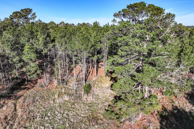 784 Acres Round Prairie Road, Huntsville, TX 77320