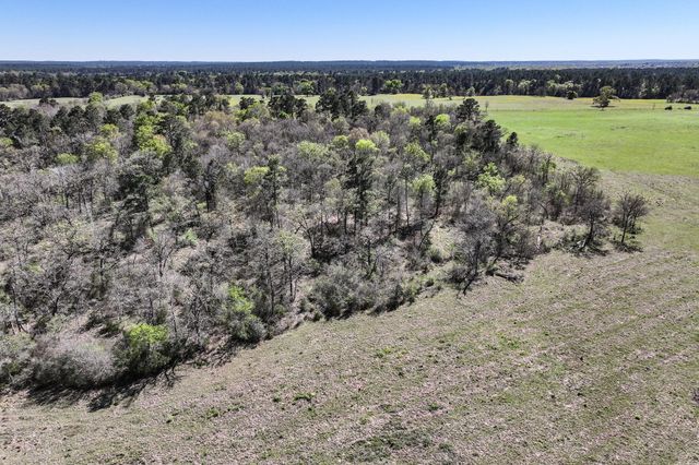 784 Acres Round Prairie Road, Huntsville, TX 77320