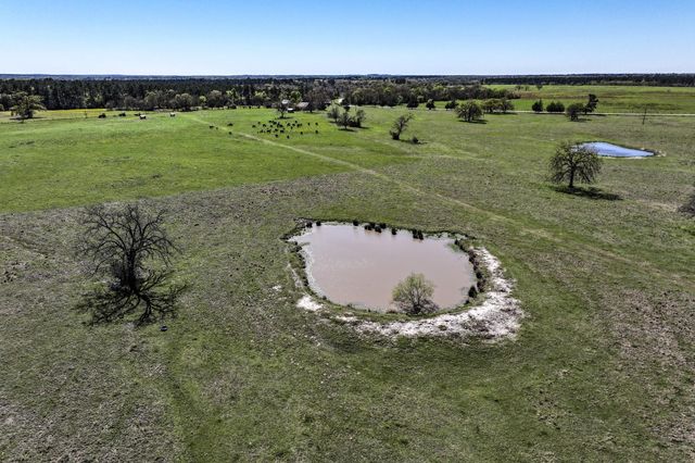 784 Acres Round Prairie Road, Huntsville, TX 77320