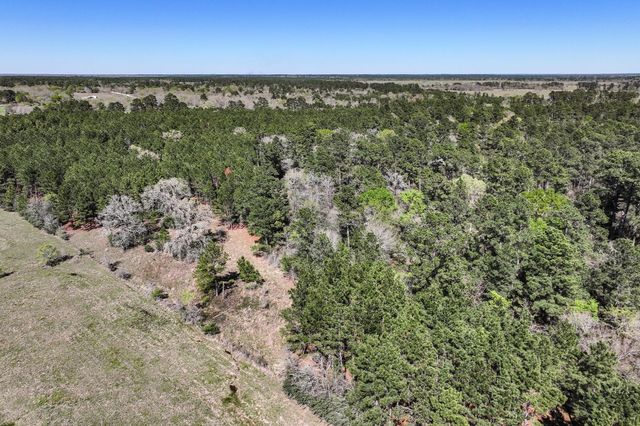 784 Acres Round Prairie Road, Huntsville, TX 77320