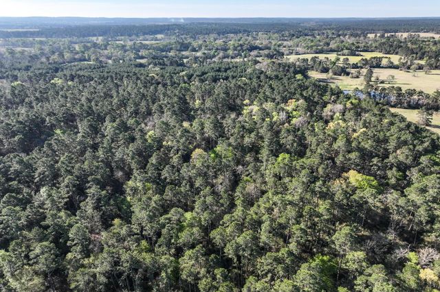 784 Acres Round Prairie Road, Huntsville, TX 77320