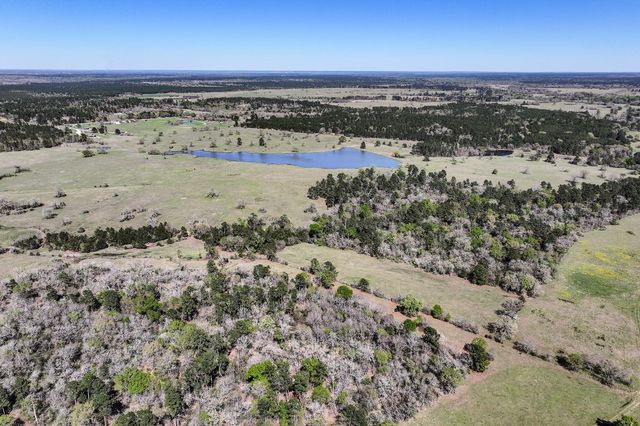 784 Acres Round Prairie Road, Huntsville, TX 77320