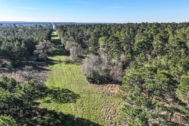784 Acres Round Prairie Road, Huntsville, TX 77320