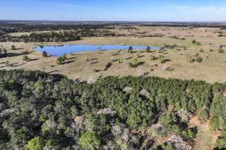 784 Acres Round Prairie Road, Huntsville, TX 77320