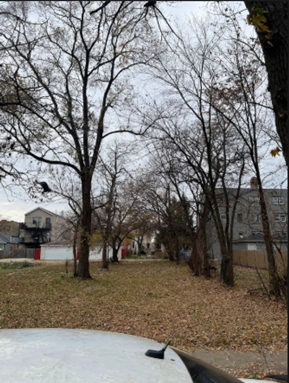 1338 S Keeler Avenue, Chicago, IL 60623