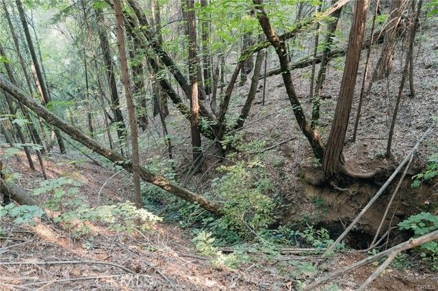 14969 Centerville Road, Magalia, CA 95954