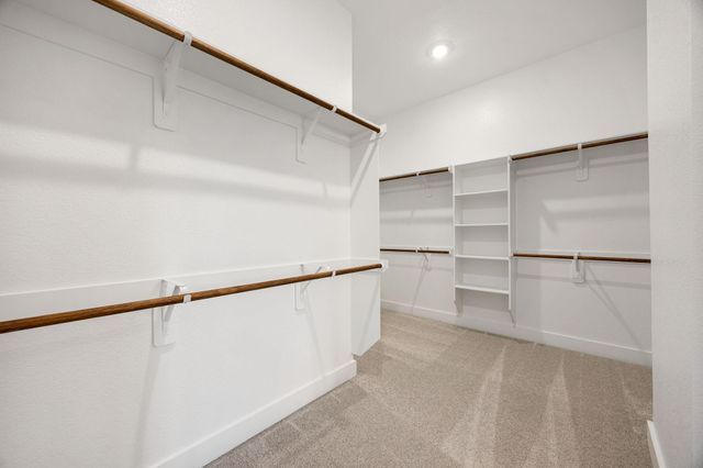 306 Eastern Towhee Court Court, Magnolia, TX 77354