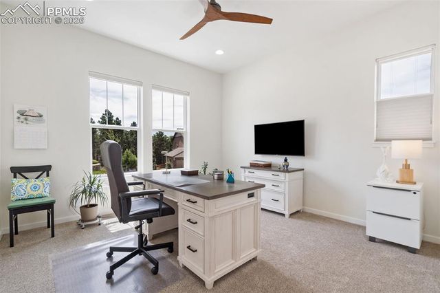 968 Tree Bark Terrace, Monument, CO 80132