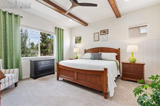 968 Tree Bark Terrace, Monument, CO 80132