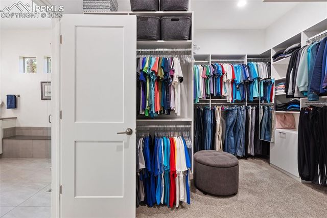 968 Tree Bark Terrace, Monument, CO 80132