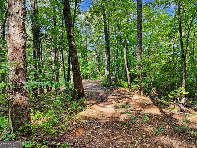 417 Kelly Mountain Road, Clarkesville, GA 30523