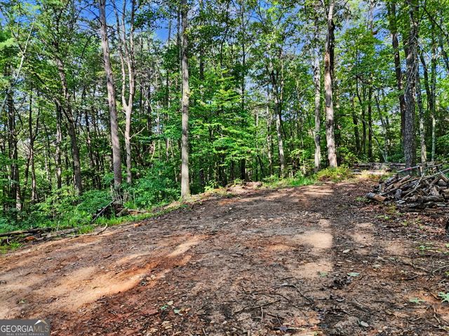417 Kelly Mountain Road, Clarkesville, GA 30523