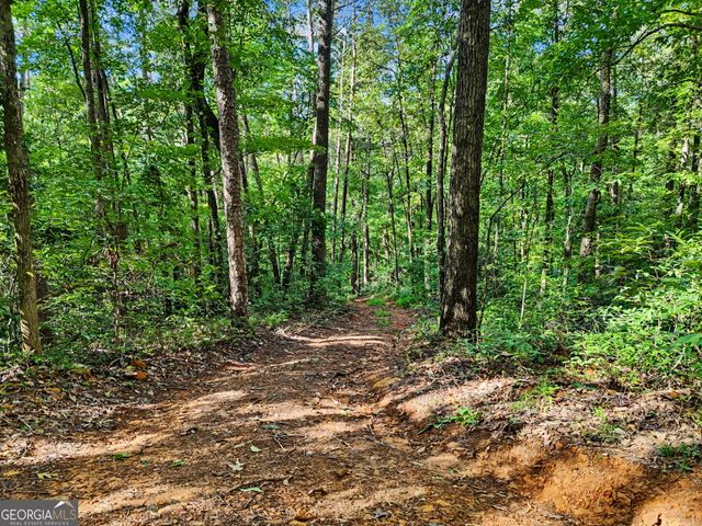 417 Kelly Mountain Road, Clarkesville, GA 30523