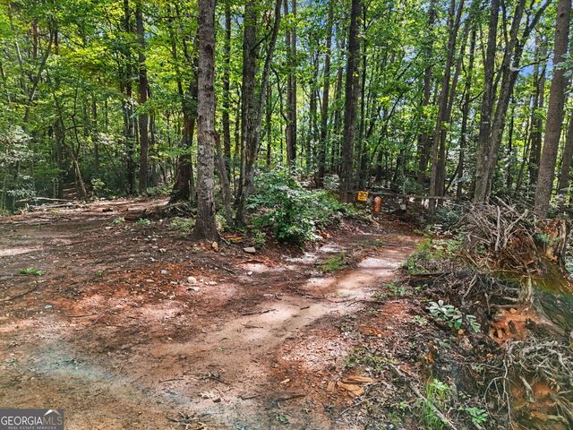 417 Kelly Mountain Road, Clarkesville, GA 30523