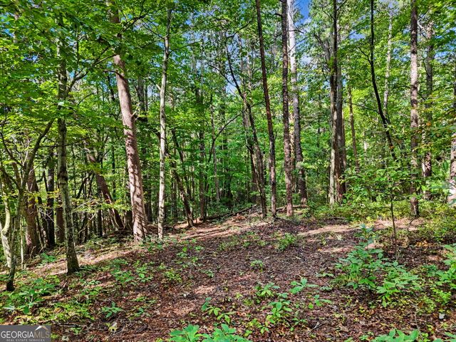 417 Kelly Mountain Road, Clarkesville, GA 30523