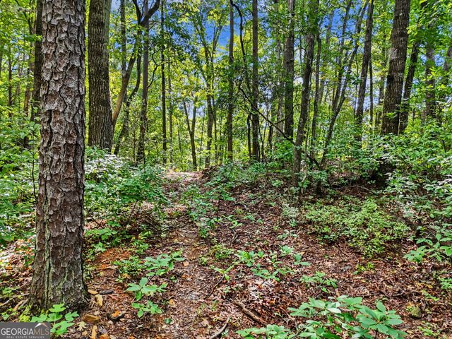 417 Kelly Mountain Road, Clarkesville, GA 30523
