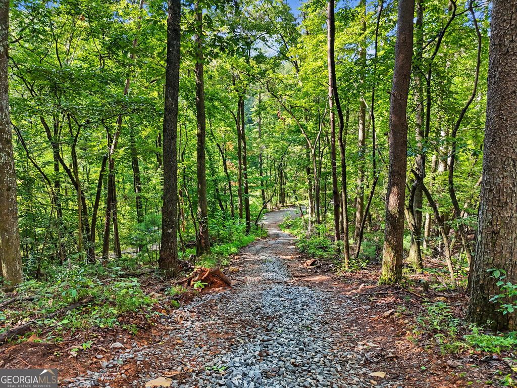 417 Kelly Mountain Road, Clarkesville, GA 30523