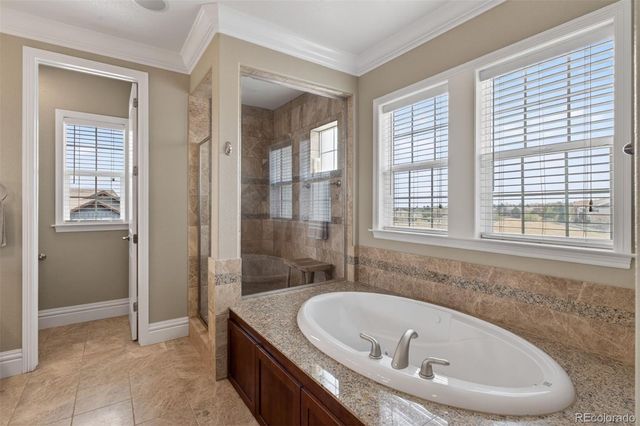 479 Maplehurst Drive, Highlands Ranch, CO 80126