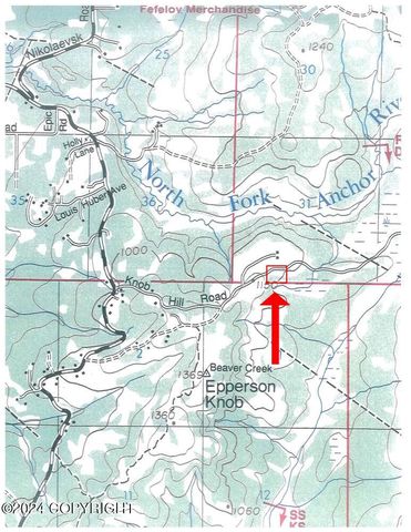 63687 Inez Avenue, Anchor Point, AK 99556