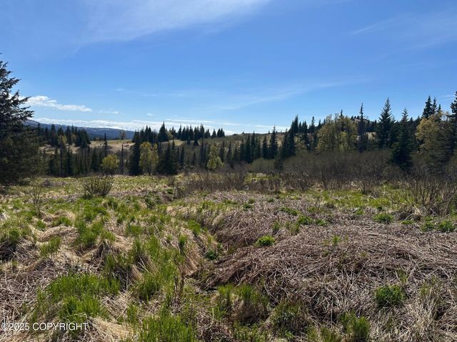 63687 Inez Avenue, Anchor Point, AK 99556