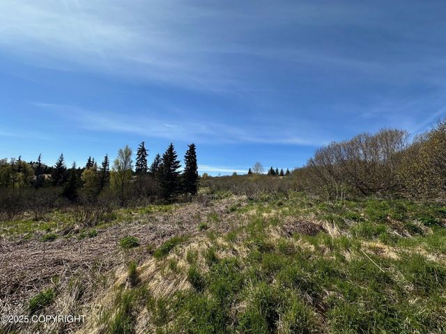 63687 Inez Avenue, Anchor Point, AK 99556