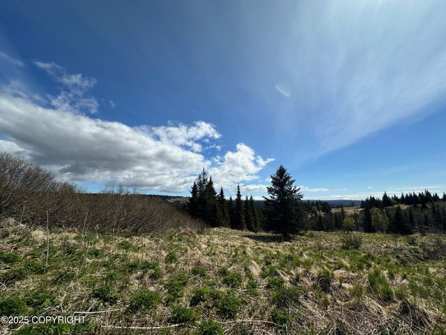 63687 Inez Avenue, Anchor Point, AK 99556