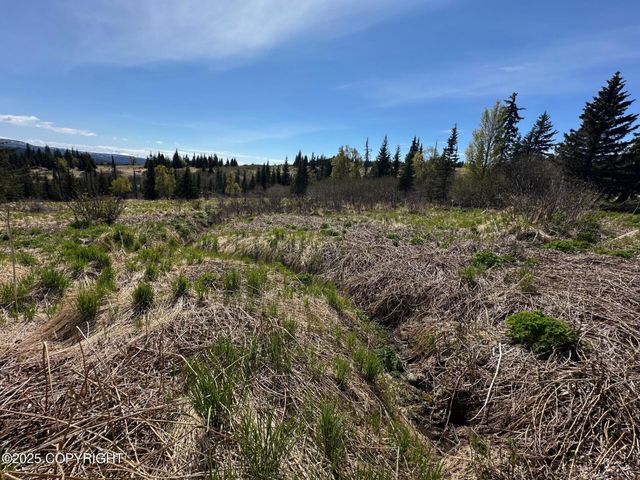 63687 Inez Avenue, Anchor Point, AK 99556
