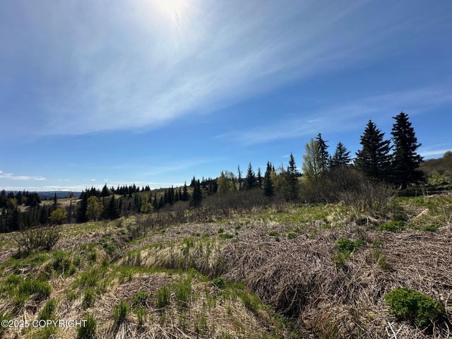 63687 Inez Avenue, Anchor Point, AK 99556