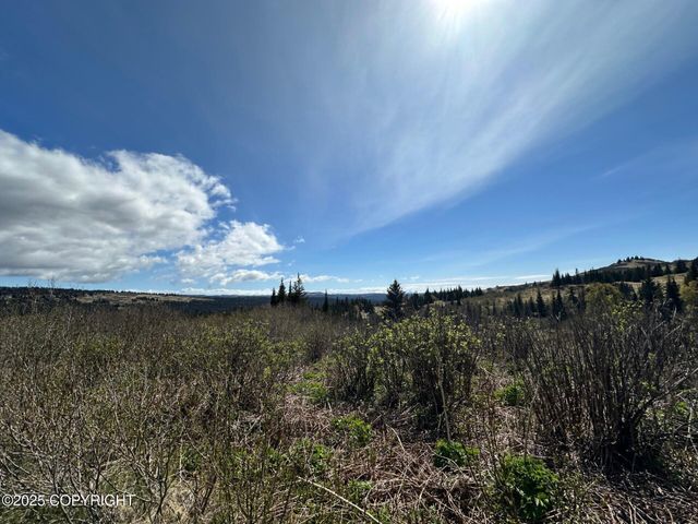 63687 Inez Avenue, Anchor Point, AK 99556