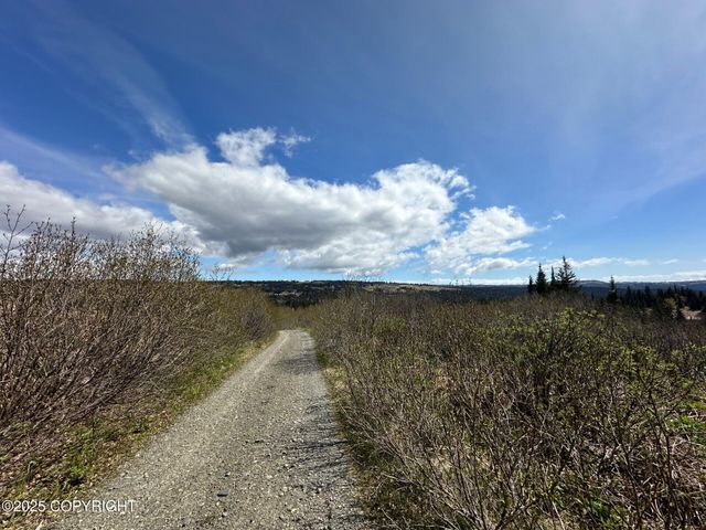 63687 Inez Avenue, Anchor Point, AK 99556