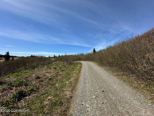 63687 Inez Avenue, Anchor Point, AK 99556