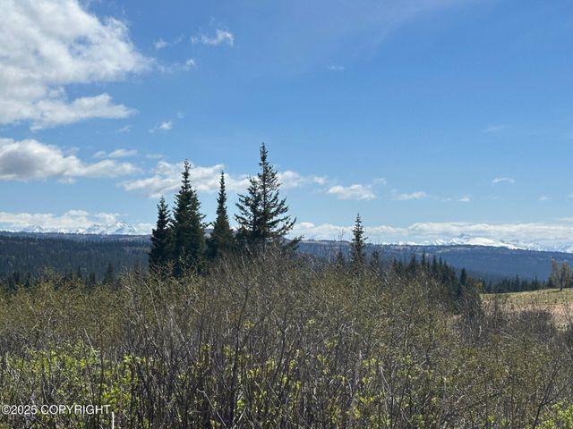 63687 Inez Avenue, Anchor Point, AK 99556