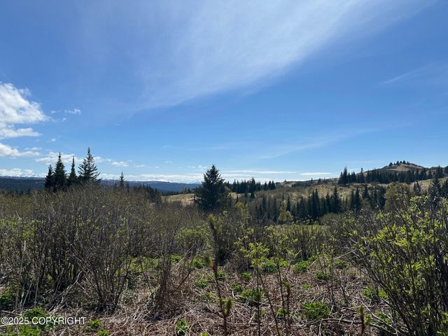 63687 Inez Avenue, Anchor Point, AK 99556