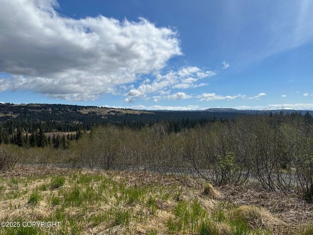 63687 Inez Avenue, Anchor Point, AK 99556