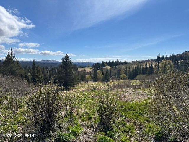 63687 Inez Avenue, Anchor Point, AK 99556
