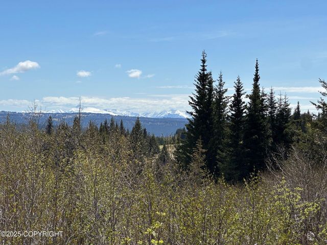 63687 Inez Avenue, Anchor Point, AK 99556