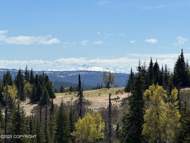 63687 Inez Avenue, Anchor Point, AK 99556