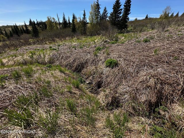 63687 Inez Avenue, Anchor Point, AK 99556