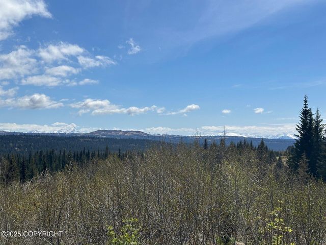 63687 Inez Avenue, Anchor Point, AK 99556