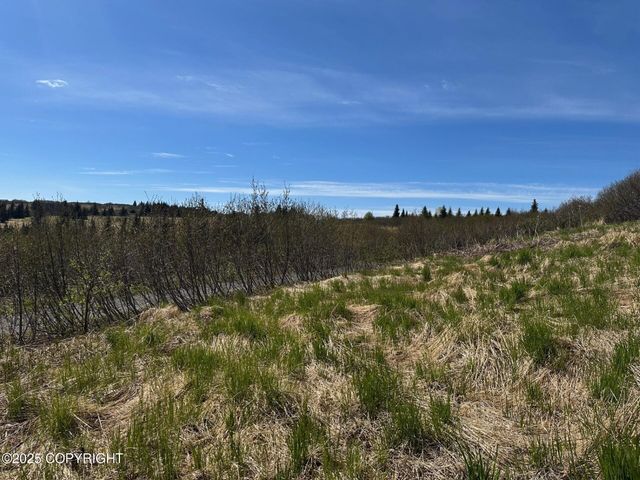 63687 Inez Avenue, Anchor Point, AK 99556