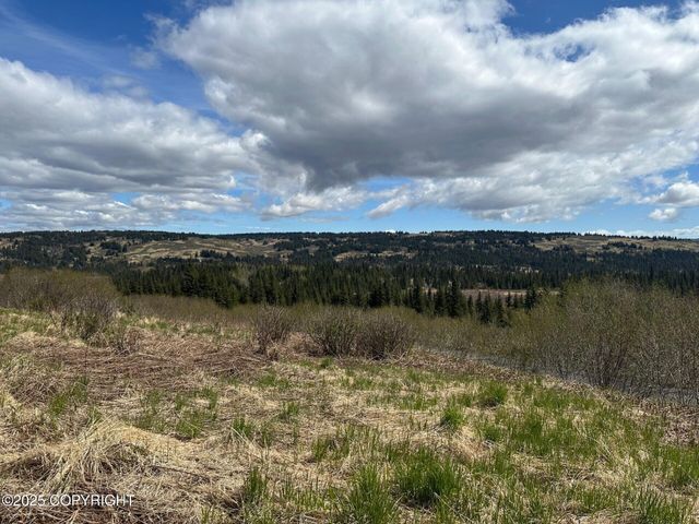 63687 Inez Avenue, Anchor Point, AK 99556