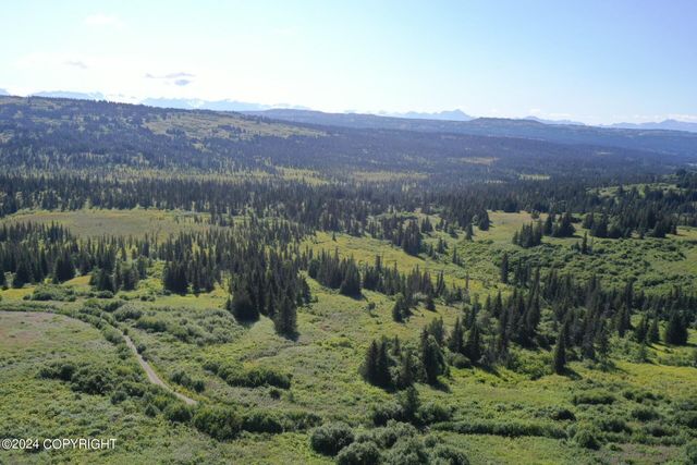 63687 Inez Avenue, Anchor Point, AK 99556