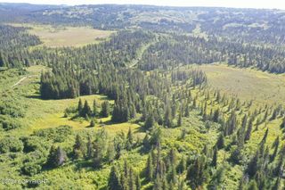 63687 Inez Avenue, Anchor Point, AK 99556