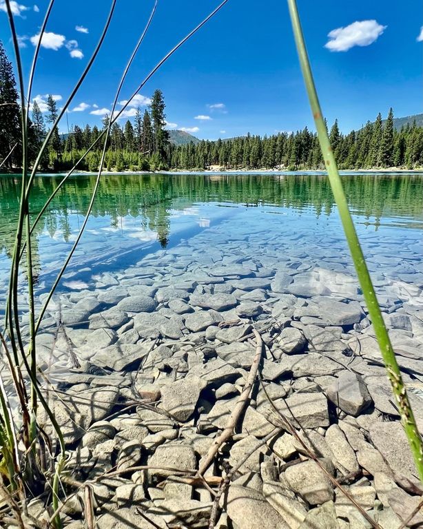 808 Mineral Avenue, Libby, MT 59923 photo 44