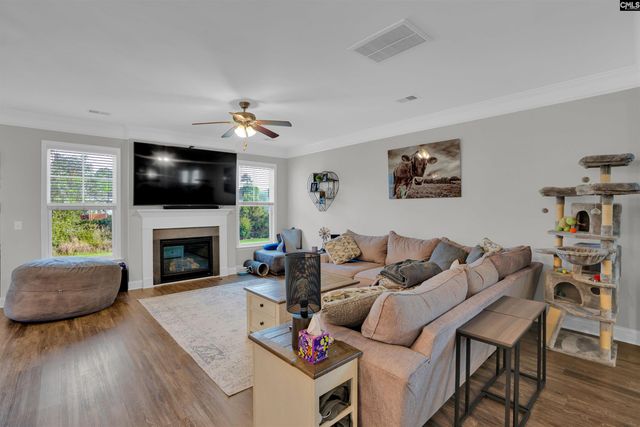 432 Thayer Street, Chapin, SC 29036