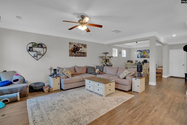 432 Thayer Street, Chapin, SC 29036
