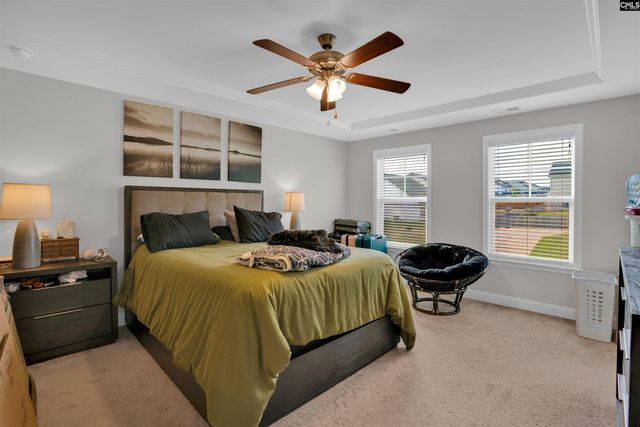 432 Thayer Street, Chapin, SC 29036