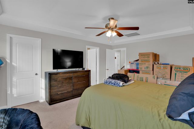 432 Thayer Street, Chapin, SC 29036