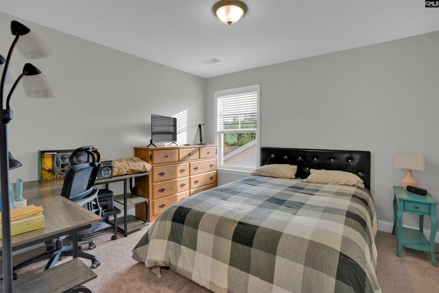 432 Thayer Street, Chapin, SC 29036