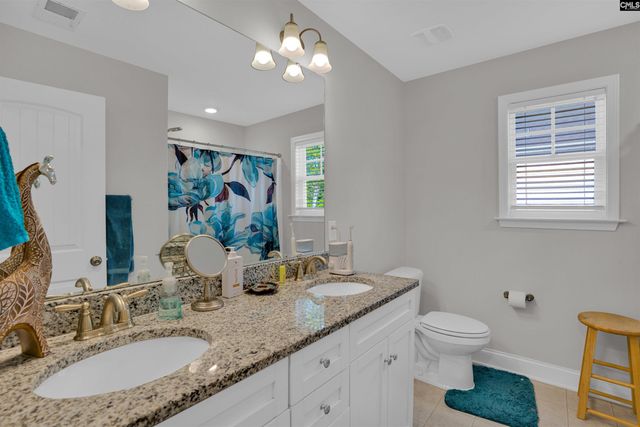 432 Thayer Street, Chapin, SC 29036